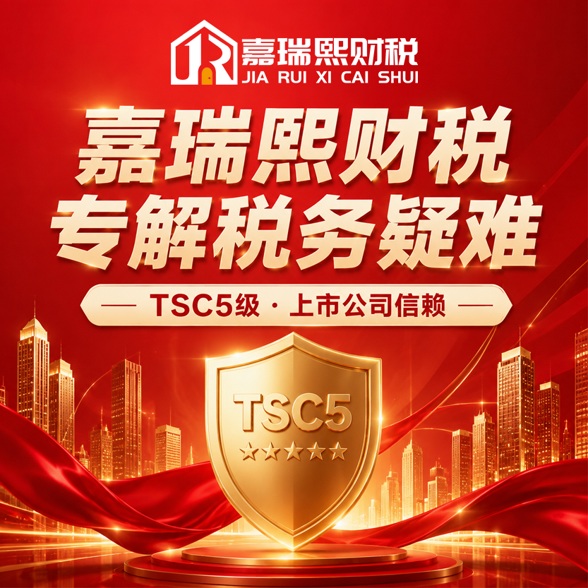 点击咨询获取专属财税方案